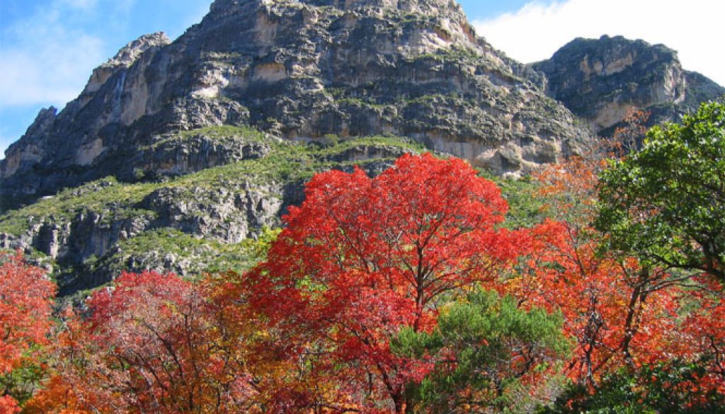 guadalupe_mountains_national_park_mckittrick_canyon4