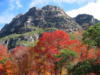 guadalupe_mountains_national_park_mckittrick_canyon4