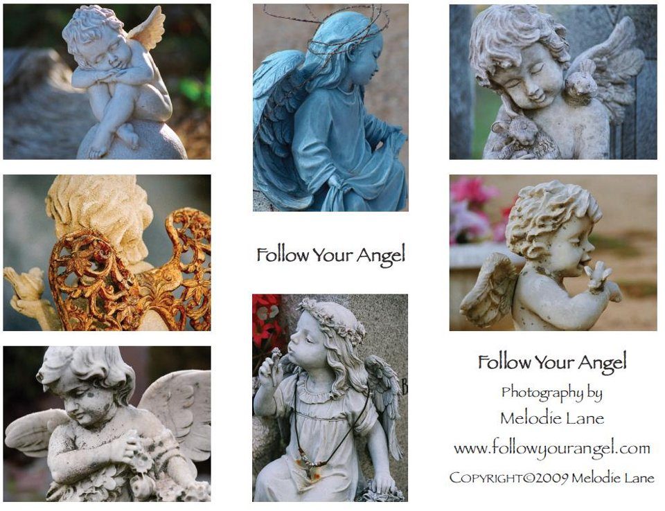 MELIORA COLLECTION IMAGE