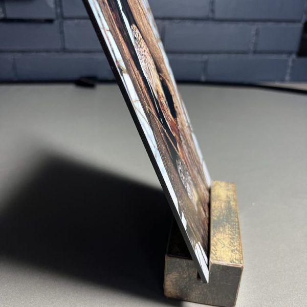 IMG-2419 Owls Photo Tile